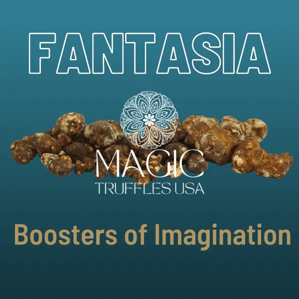 fantasia magic truffles usa