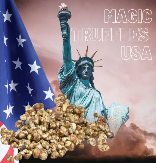 About magic truffles USA