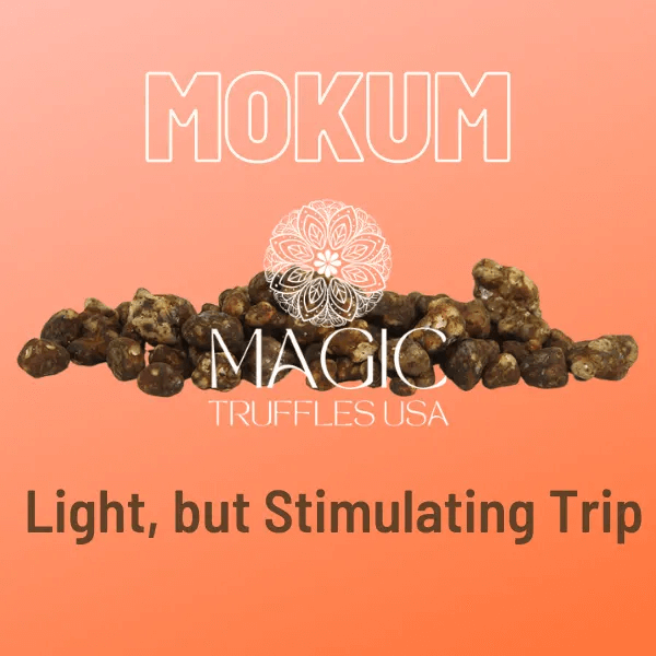 mokum magic truffles usa