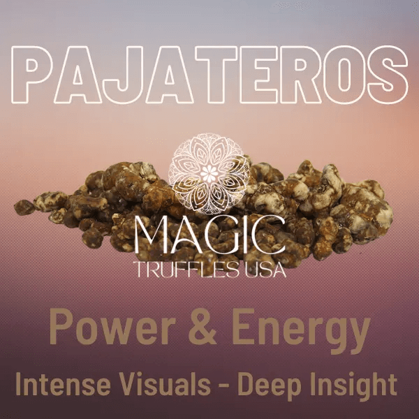 Pajateros magic truffles usa