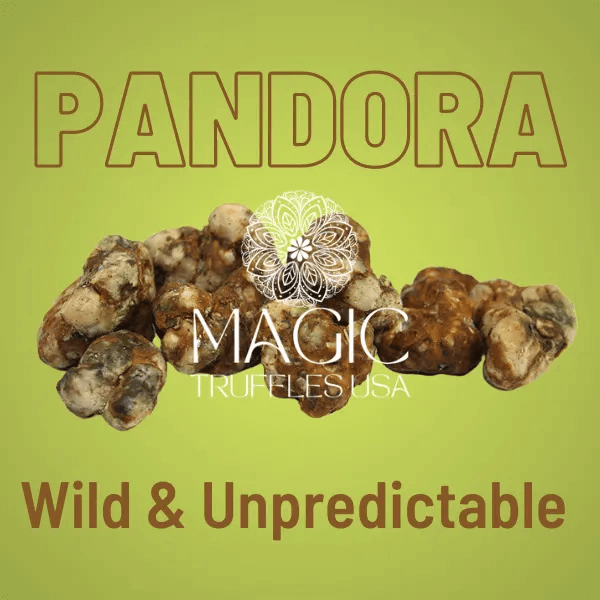 Pandora magic truffles usa