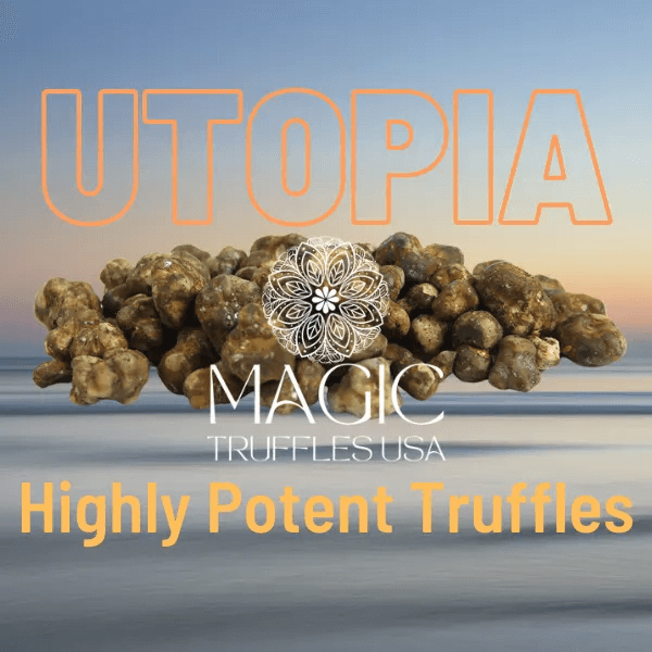 Utopia magic truffles usa